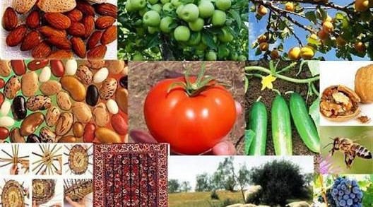 راهکارهای فروش محصولات روستایی