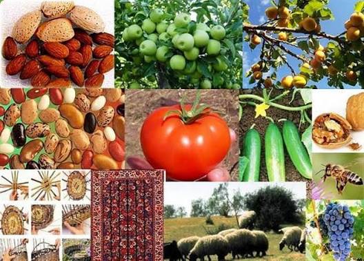 راهکارهای فروش محصولات روستایی